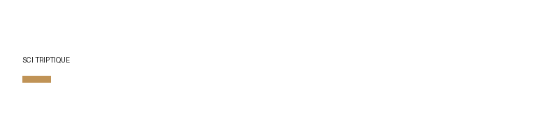 SCI TRIPTIQUE logo